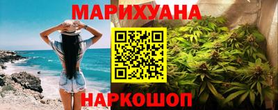 a pvp Новозыбков