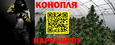 крисы Нягань